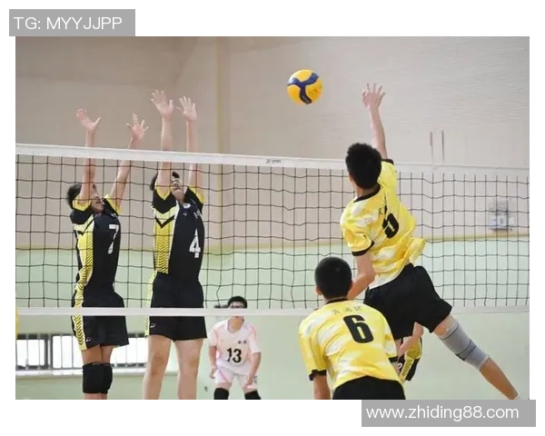 上海排球队的比赛经验变革引发热议与思考