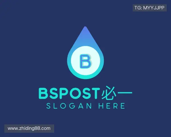 了解bspost必一